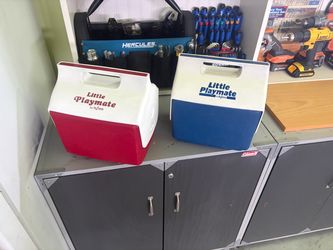 2 IGLOO MINI COOLERS. GREAT CONDITION. BOTH FOR $10