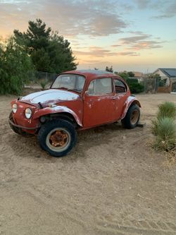 1962 Volkswagen beetle