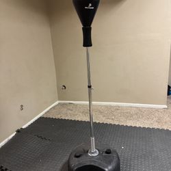 Reflex Punching Bag And Mats