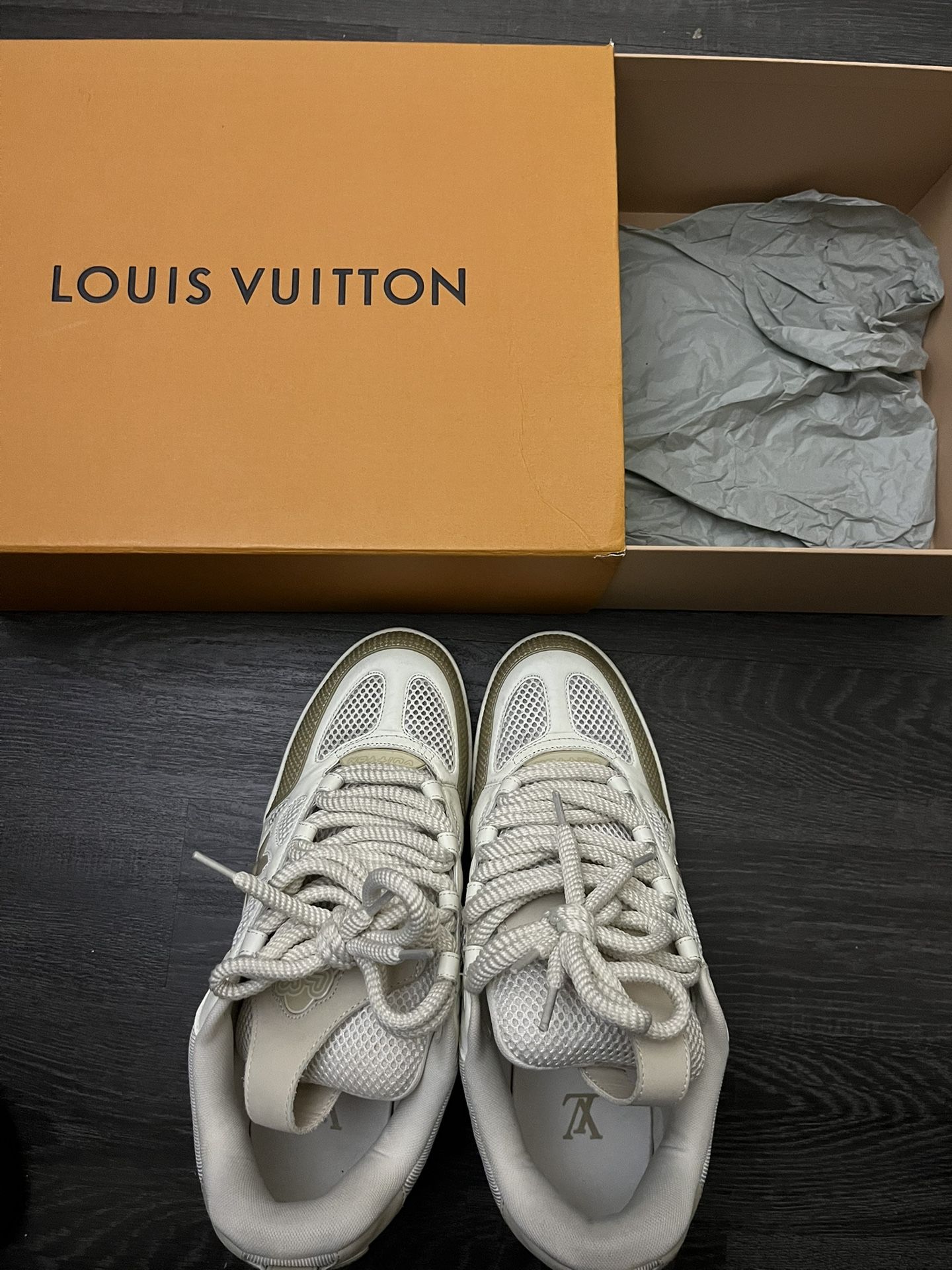 Louis Vuitton Skates Shoes