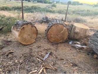 Bunch of wood For $50