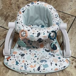 Pacific pebble online fisher price