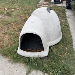 Igloo dog hause