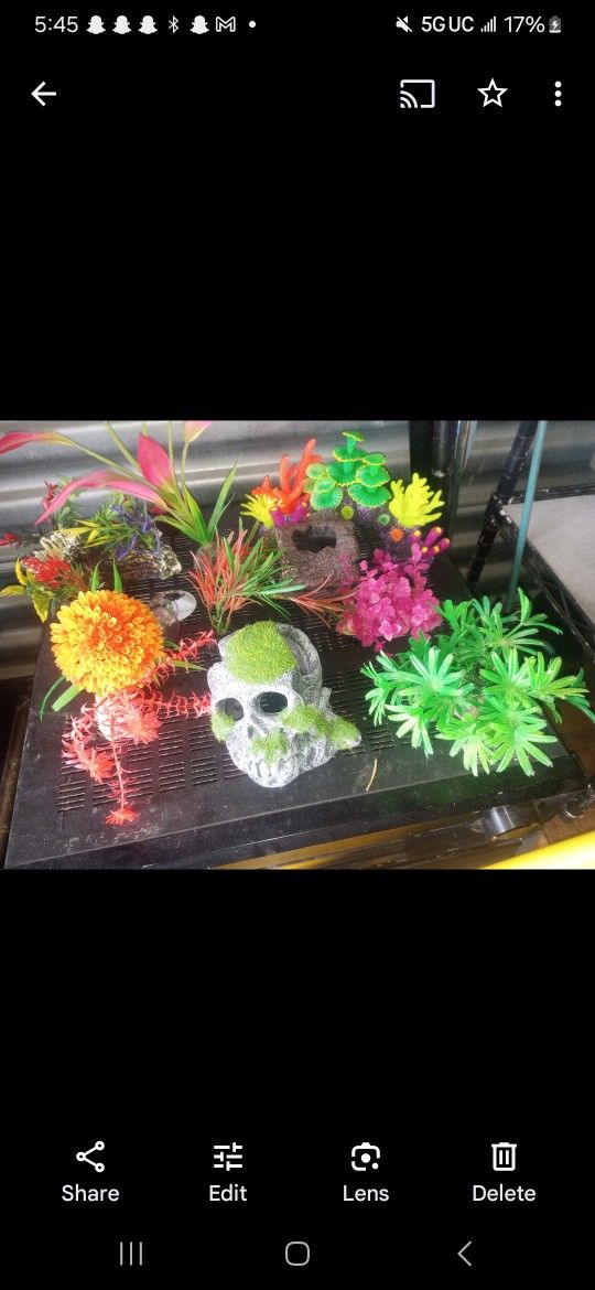 Fish Tank Decor