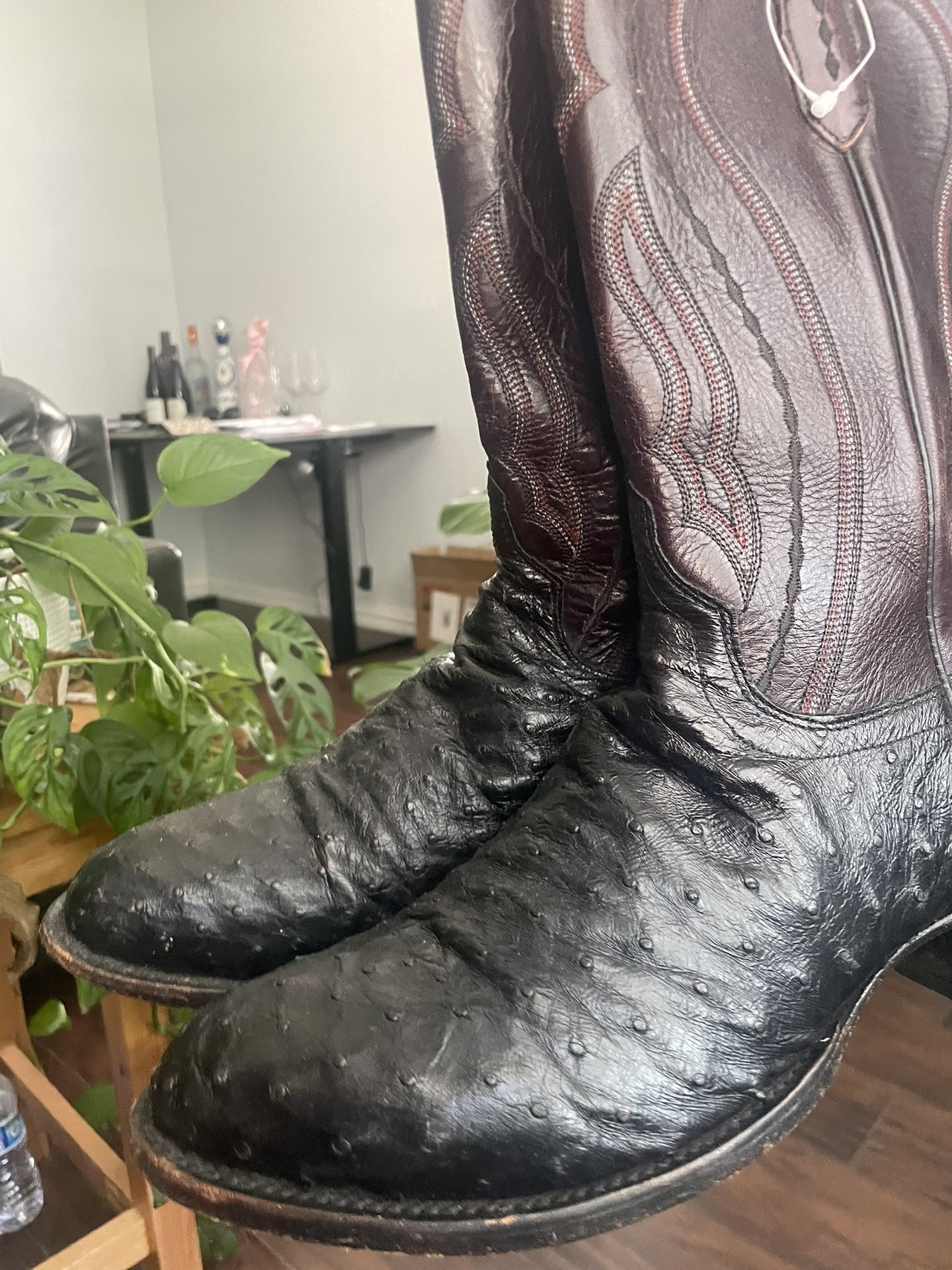 Lucchese Boots