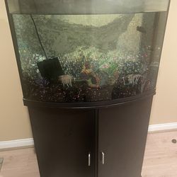 30 gallon fish Tank. Must Go! $175