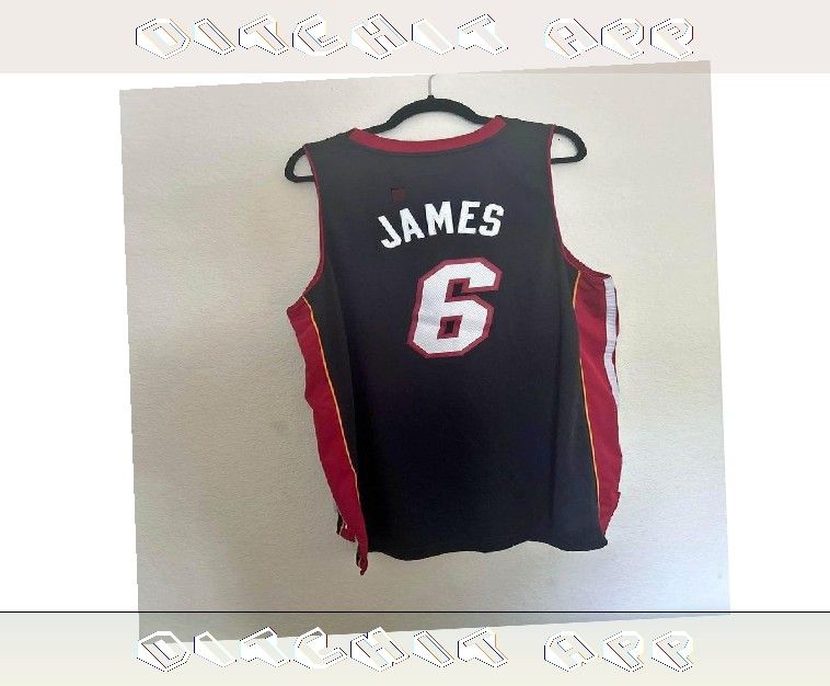 apply defense LeBron James USA Jersey Real Athletic Wear