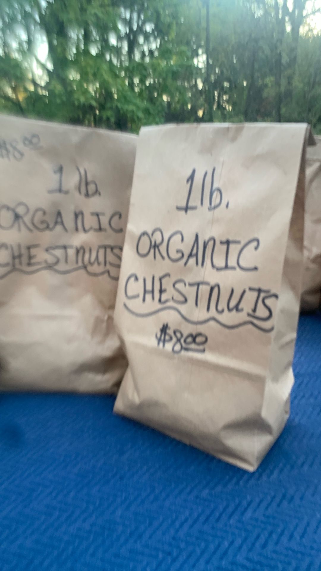Organic Chestnuts In Macungie Pa