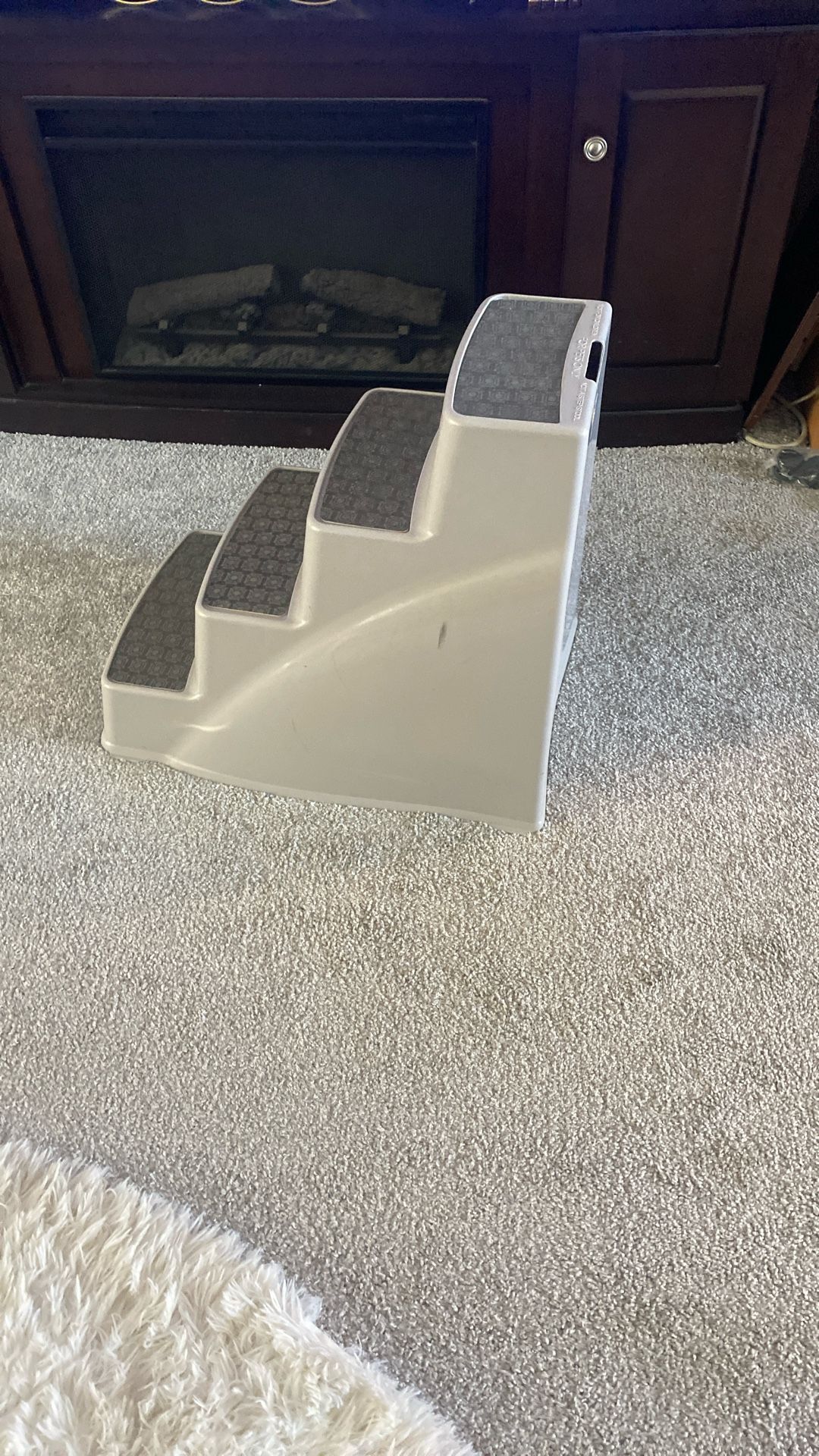 Dog Stairs