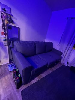 Sofa Bed / Couch