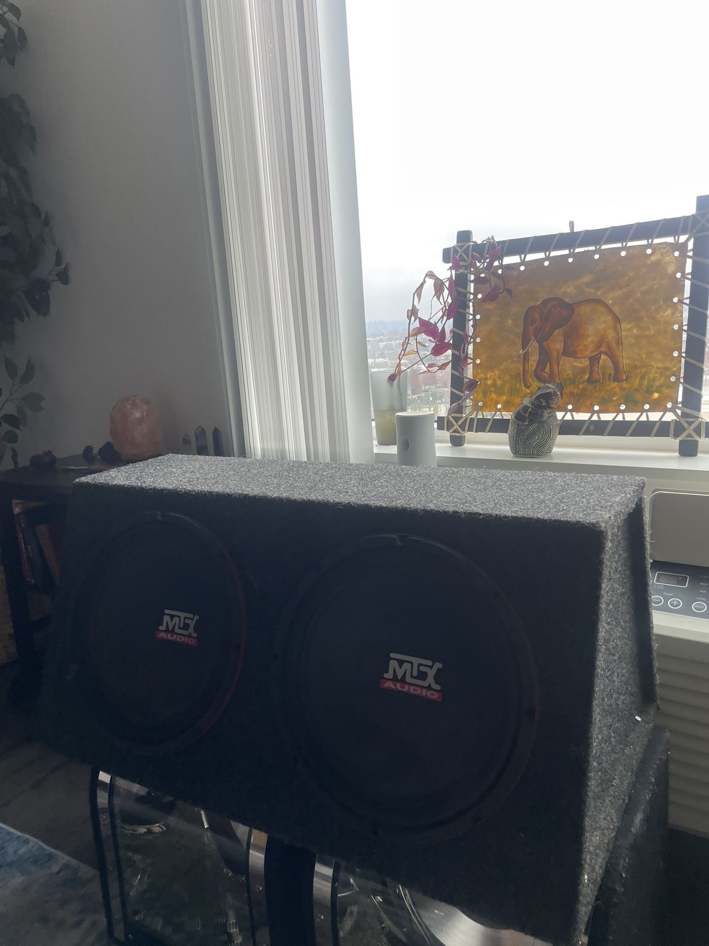 Dual 12 Inch Mtx Woofers