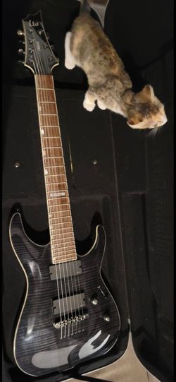 ESP LTD H338 Electric Guitar