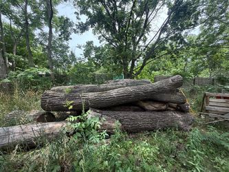 Walnut Logs