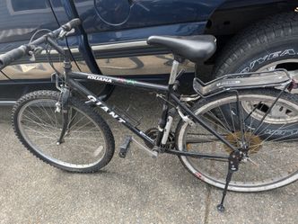 Men's Bicycle (Giant (Iguana)brand)