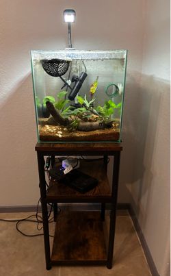 Rimless Nano Glass Aquarium