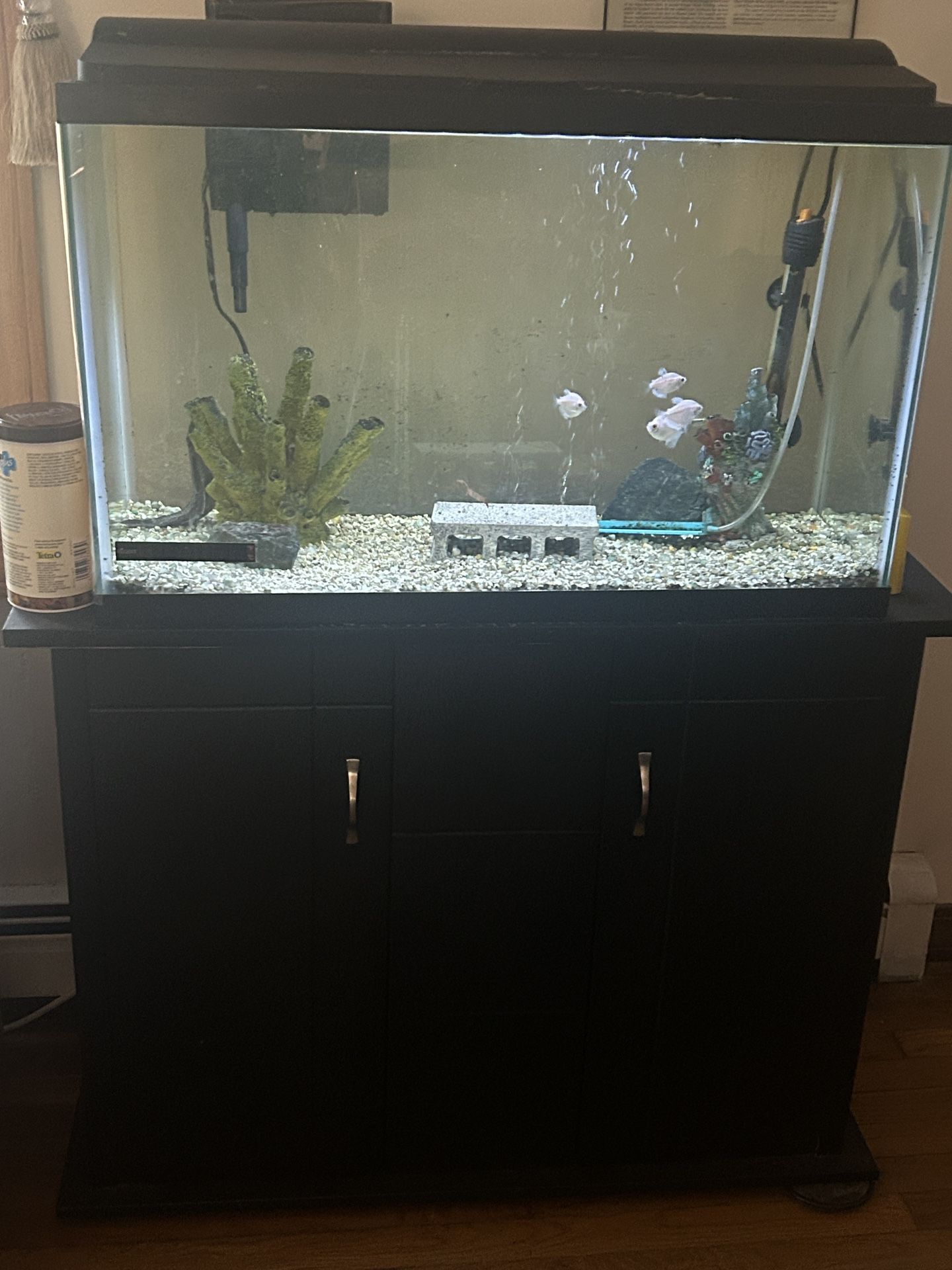 Free Fish Tank