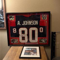 Andre Johnson Autographed Framed Jersey 