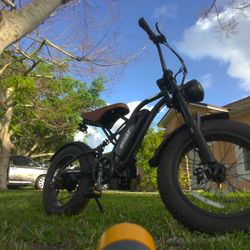 30mph Electric Bike 48V 1500W 