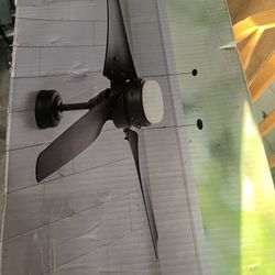 Celling Fan 