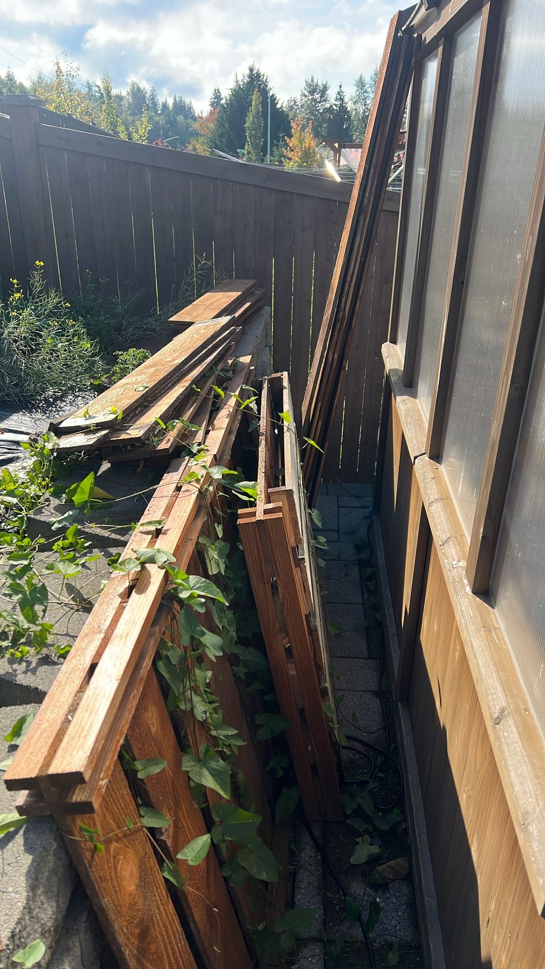 Cedar Fence Wood