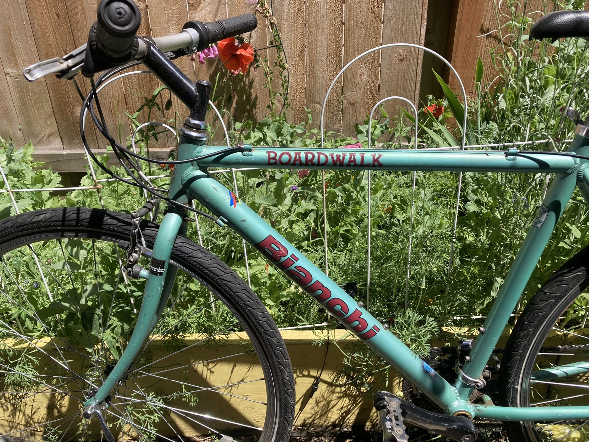 Bianchi Boardwalk Bike