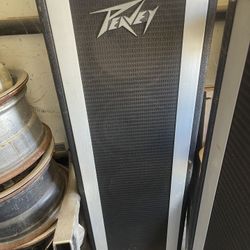 Peavey Column 410 Speakers