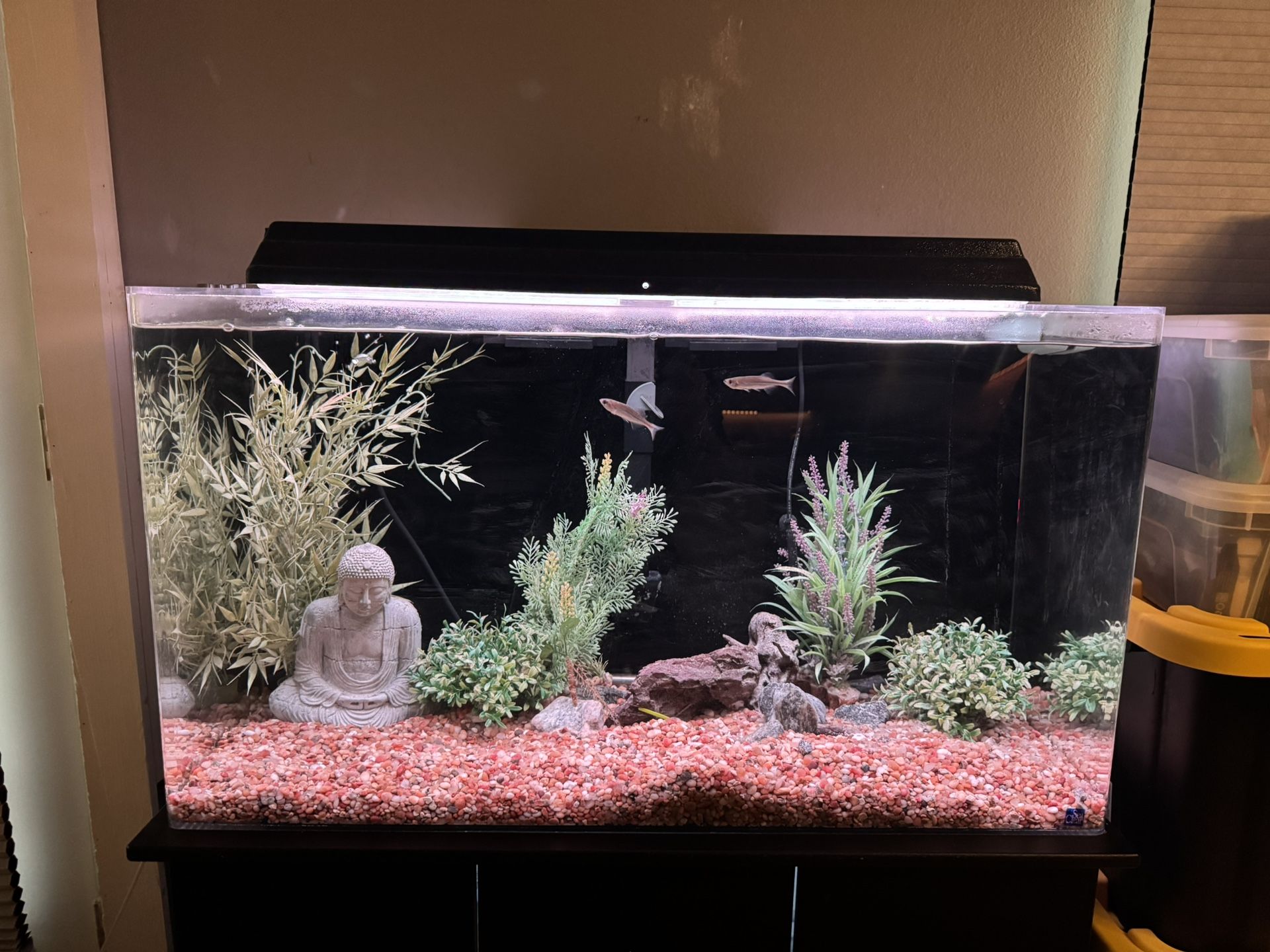 SeaClear Acrylic Aquarium and Stand