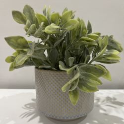 Artificial plant