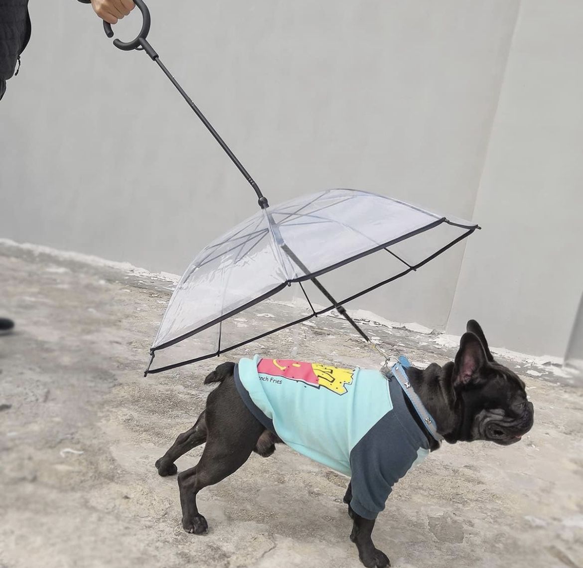 Dog Umbrella with Leash, Pet Umbrella for Dogs Adjustable Handle Dog Umbrella for Small Pets, Adjustable Rope Leash