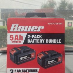 Baur (2 pack) 5 AH Batteries 
