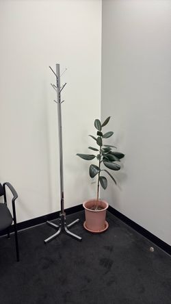 Coat hanger or Plant $10/each