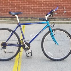 Mountain Bike Trek 820