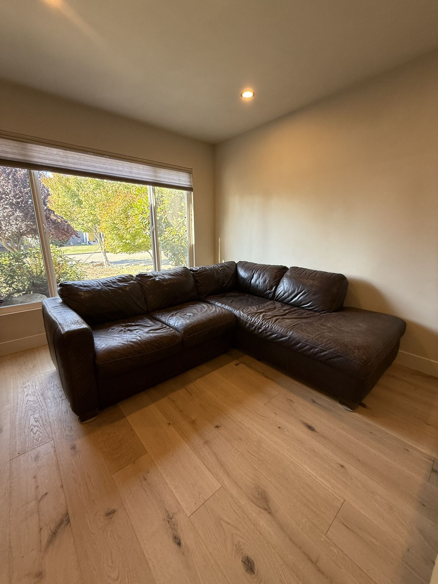 Brown Leather Sectional