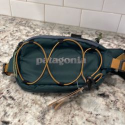 Patagonia Fanny Pack Unisex Bag
