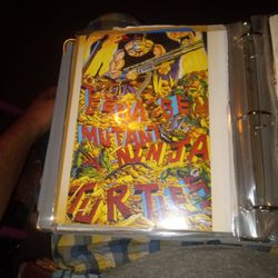 Various Ninja Turtle Comic Issues