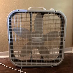 Fan