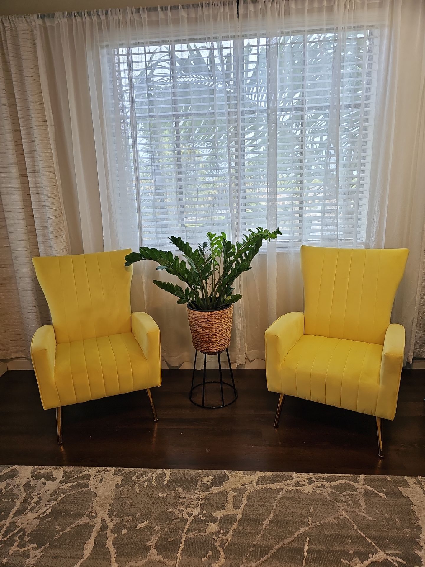 Beautiful pair of velvet chairs