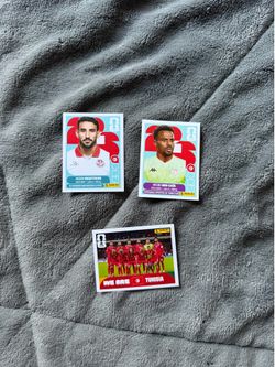 Tunisia stickers