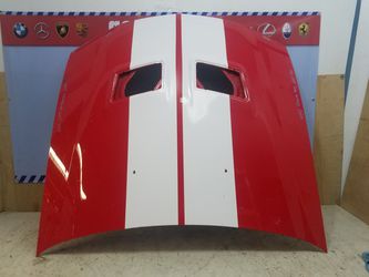 Ford mustang GT Shelby Hood 2005-2009