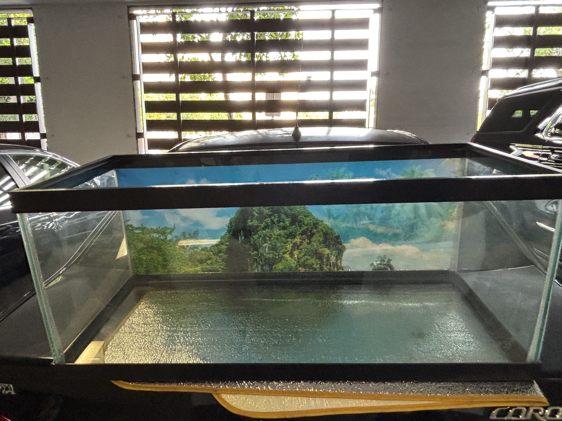 aquarium 20 gallon