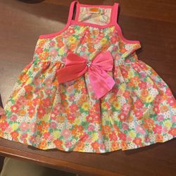 Doggy Dress