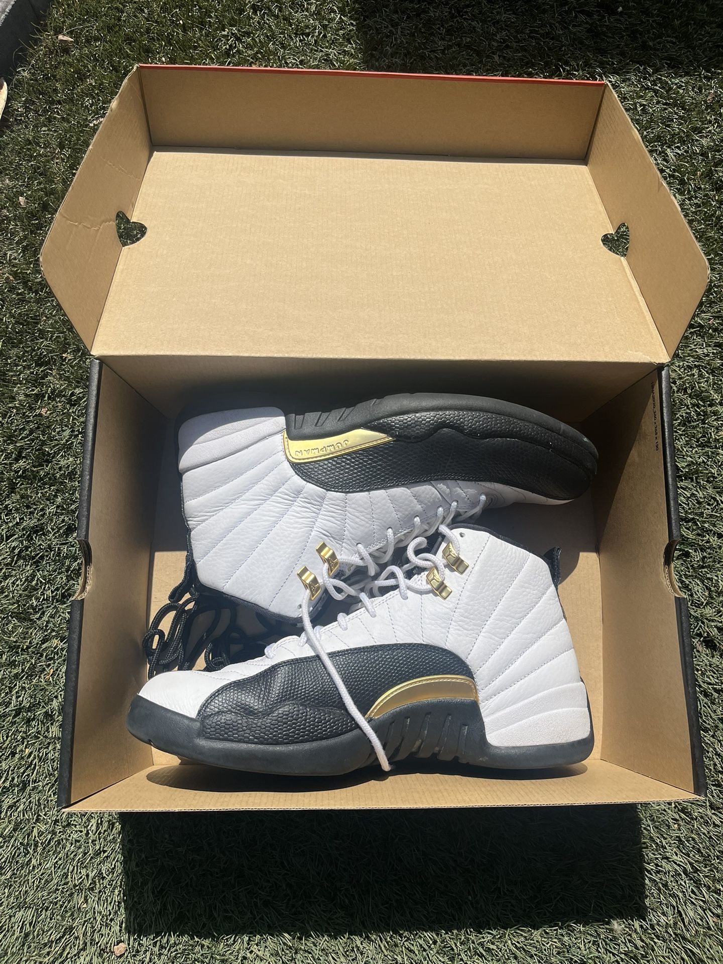 Jordan 11 Taxi