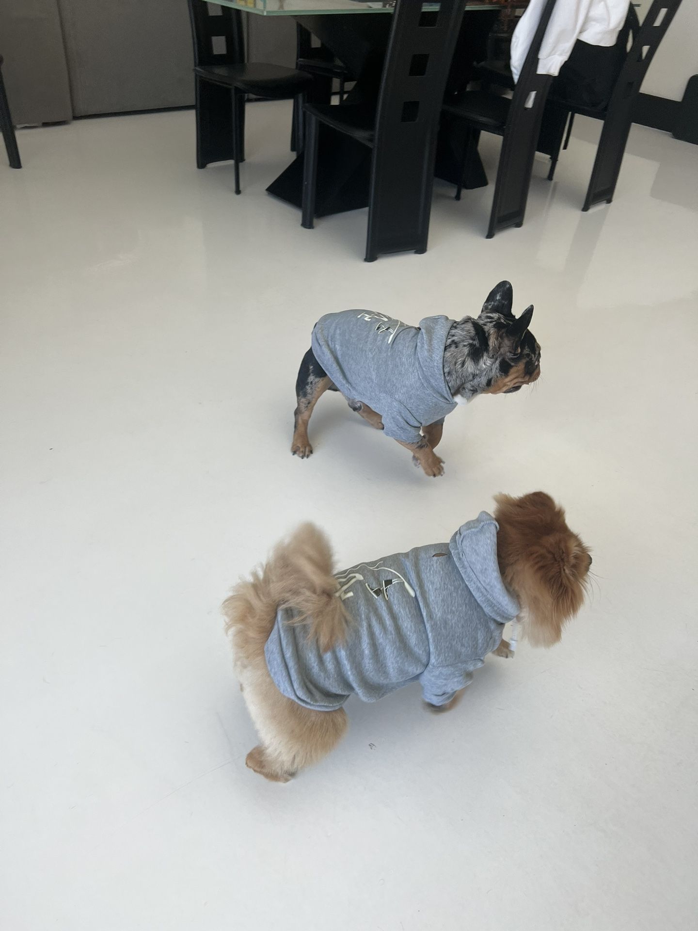 Dog Sweaters And Shirts