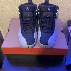 Jordan 12  