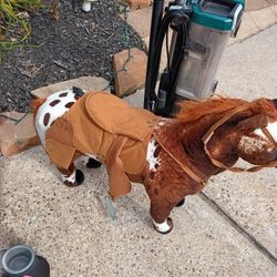 A Little Pony 20 Bucks