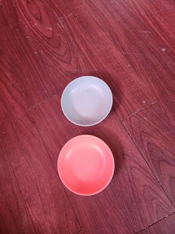 Cat dishes