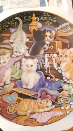 Cat lovers decor