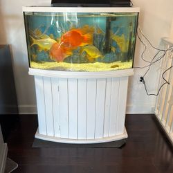 55-Gallon Fish Tank with Stand, Light, and Filter – No Fish or Accessories