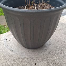 Planter 