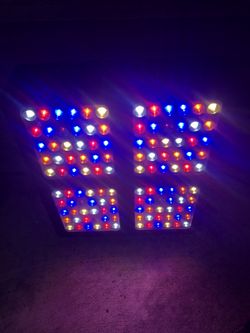 Viparspectra 600w LED Grow Light Veg And Bloom Switches